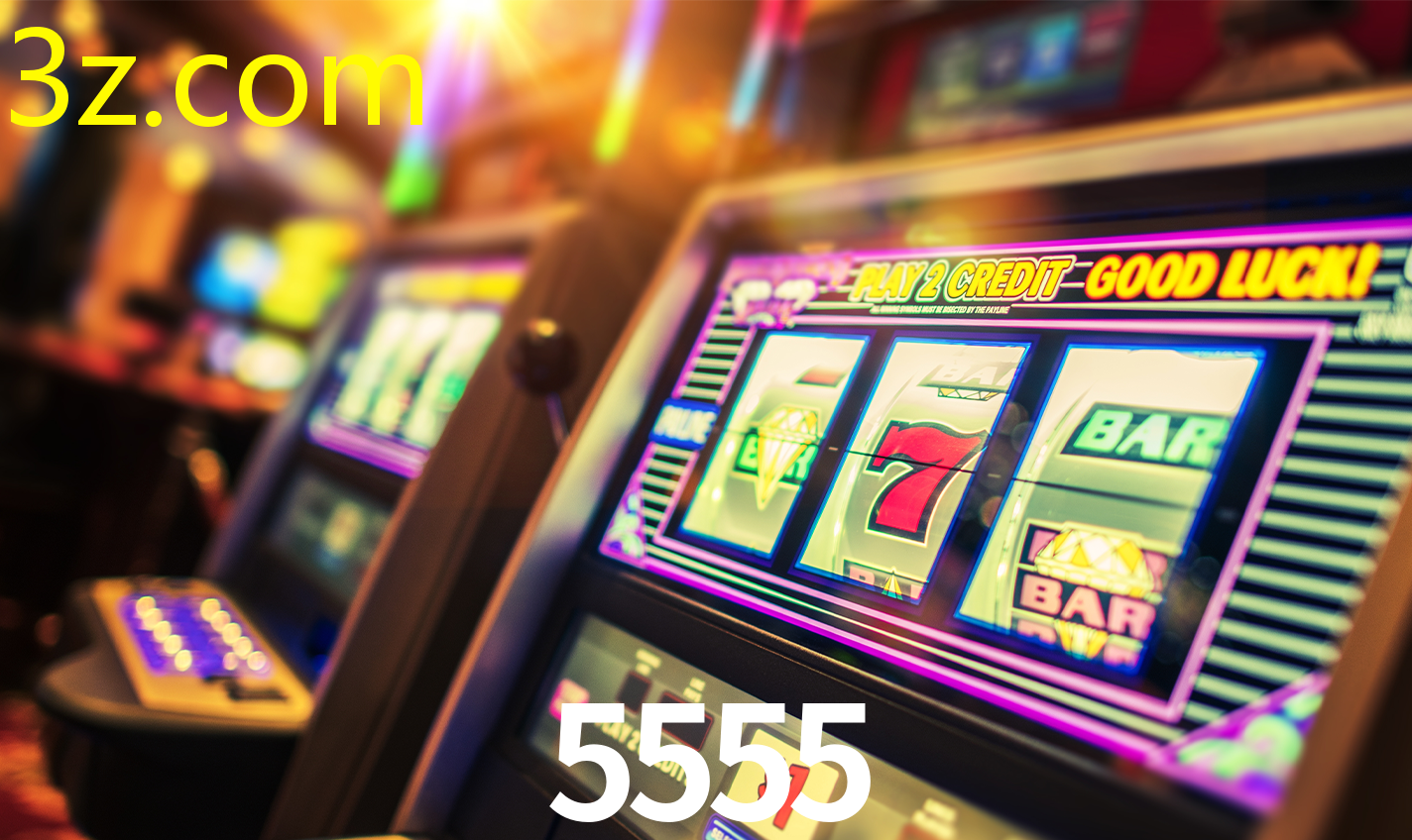 5555.COM